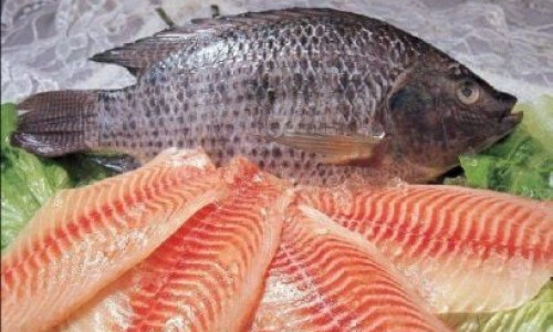 Về VHFood là nhà chế biến & xuất khẩu được đánh giá cao