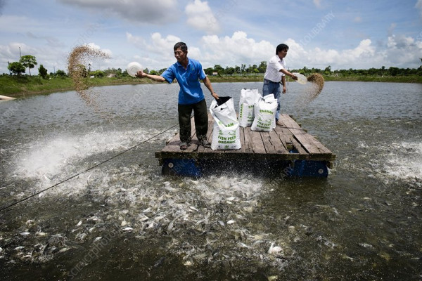 Các nhà máy của VHFood được trang bị máy móc và công nghệ mới nhất để đảm bảo vận