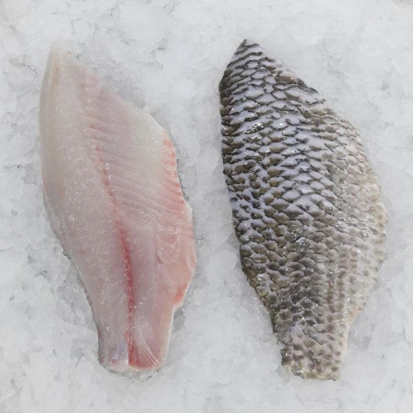 CÁ RÔ PHI PHI LÊ (Tilapia Fillet) CÁ RÔ PHI PHI LÊ (Tilapia Fillet)
