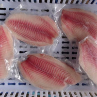 CÁ RÔ PHI PHI LÊ (Tilapia Fillet) CÁ RÔ PHI PHI LÊ (Tilapia Fillet)